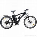 EN15194 & 250W high end electric bicycle 1