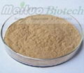 Valerian Root Extract - Valeric acid 1