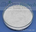 Radix Sophorae Extract - Oxymatrine 1