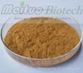 Fo-Ti / Ho Shou Wu Extract 1