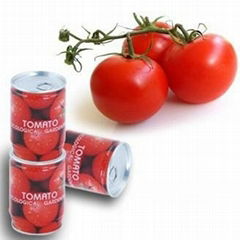 Tomato