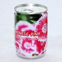 Chinese pink