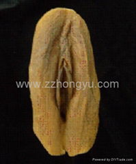 Female external genital organs,Plasternized Anatomical Model