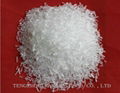 MSG\Monosodium glutamate 1