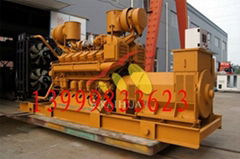 Perkins Diesel Generator