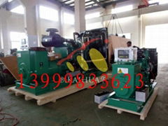 MTU Diesel Generator