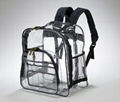 Clear Backpack 1