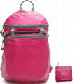 Foldable Backpack 1