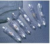 Double ended metal  halide lmap