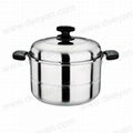 Stainless Steel Steamer 1