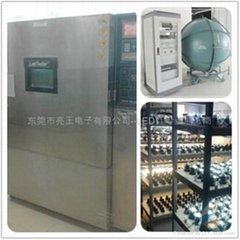 Dongguan Lightwang Eelctronic Co.,Ltd