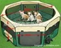 pet tent   1