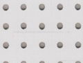 Perforated Acoustic Board 1