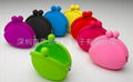  silicone pochi 1