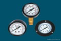 General Pressure Gauge