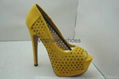 Ladies Fashion Shoes