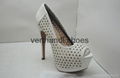 Ladies Fashion Shoes 2