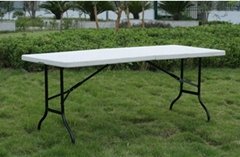 Outdoor Plastic Blow Molding Folding table