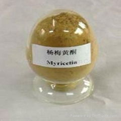 Myricetin