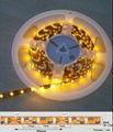 3528 LED strip 1