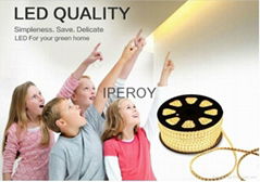 12V SMD5050 Flexible LED Strip Light