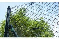 Chain Link Fence