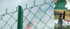 PVC Chain Link Fence