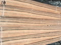 Ebony engineered wood veneer