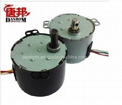 Synchronous Motor with Different Shaft Design