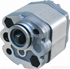 High pressure gear pump