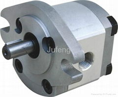 High pressure gear pump