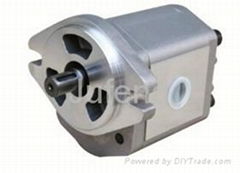 Double row gear pump