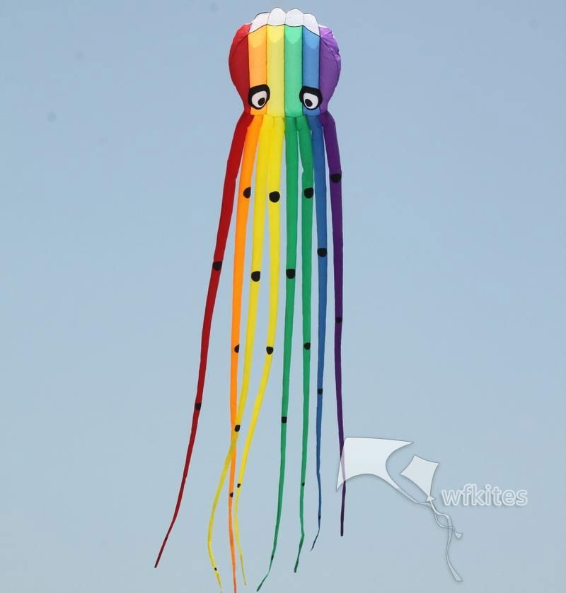 Soft Kite,Rainbow Octopus,8m,WalkinSky,inflatable kite--Leader kite 