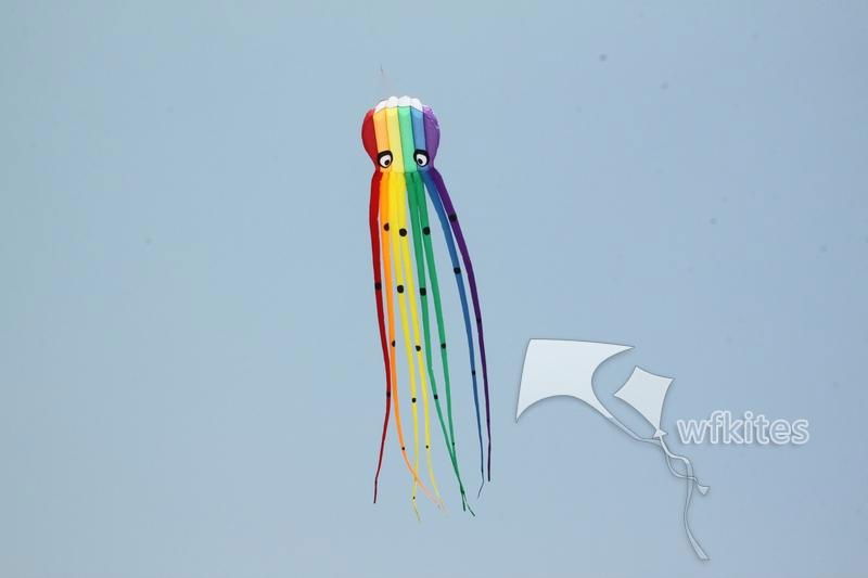 Soft Kite,Rainbow Octopus,8m,WalkinSky,inflatable kite--Leader kite  2