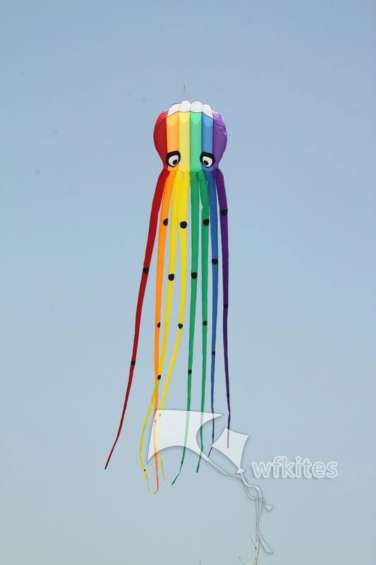 Soft Kite,Rainbow Octopus,8m,WalkinSky,inflatable kite--Leader kite  3