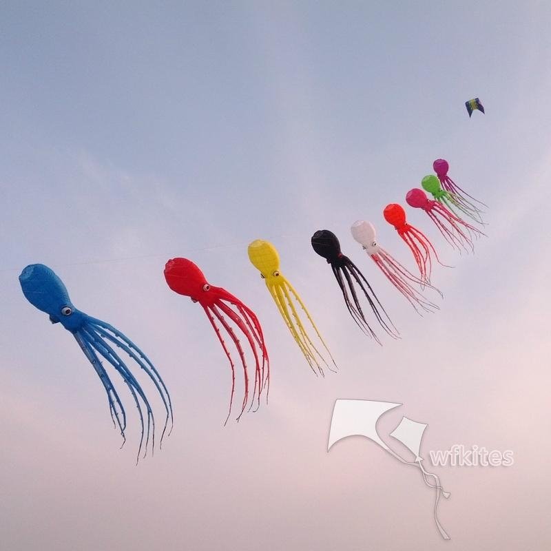 Soft Kite,Colorful Octopus,10m,Line Laundry Kite,Inflatable kite--Leader kite 