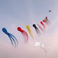 Soft Kite,Colorful Octopus,10m,Line Laundry Kite,Inflatable kite--Leader kite 