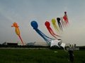 Soft Kite,Colorful Octopus,10m,Line Laundry Kite,Inflatable kite--Leader kite  2