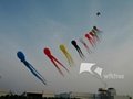 Soft Kite,Colorful Octopus,10m,Line Laundry Kite,Inflatable kite--Leader kite  3