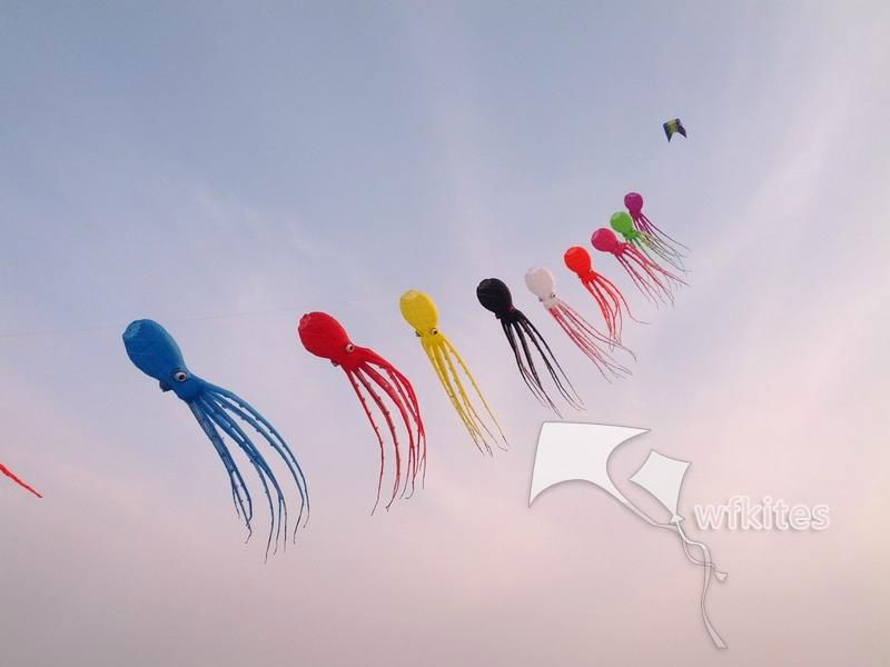 Soft Kite,Colorful Octopus,10m,Line Laundry Kite,Inflatable kite--Leader kite  4