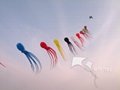 Soft Kite,Colorful Octopus,10m,Line Laundry Kite,Inflatable kite--Leader kite  4