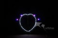 LED Night Kite,3m,Arch Dual Love,[106LED]--Leader Kite  4