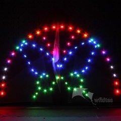 LED Night Kite,3m,Arch Butterfly,[204LED]--Leader Kite 