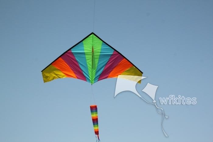 Promotional Kite,Rainbow,2.5m,Leader kite  4