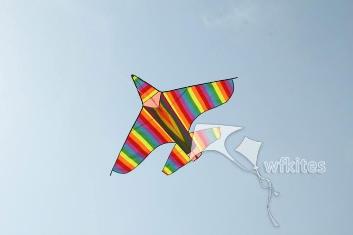 Promotional Airplane Kite ,Color,1.8m,Leader kite  2