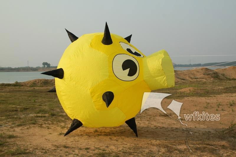 Soft Kite,Prickly ball,2.5m,Line Laundry Kite,Inflatable kite--Leader kite  4