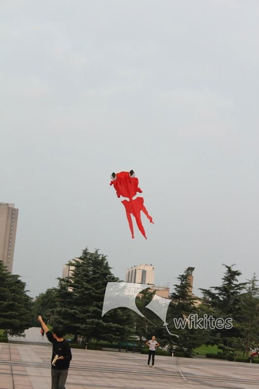 Soft Kite,Goldfish,3.6m, inflatable kite--Leader kite 3