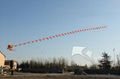 Traditional Kite, Classic Dragon,8m,promotional kite--Leader kite  2