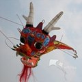 Traditional Kite, Classic Dragon,8m,promotional kite--Leader kite  4