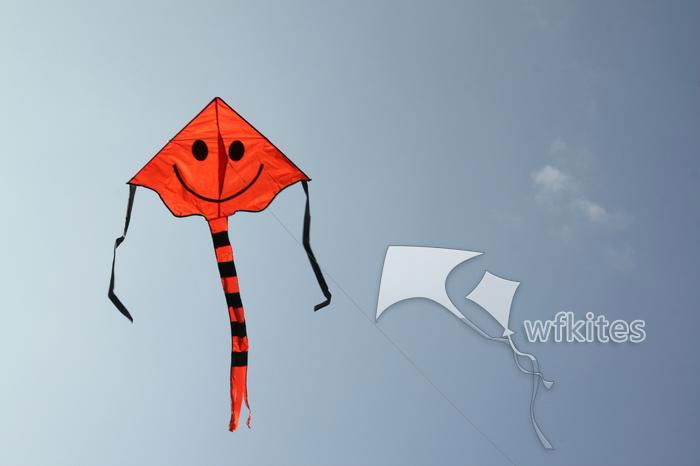 New Design Kite,Happy Smile,1.5m,Promotional Kite ,Leader kite  2